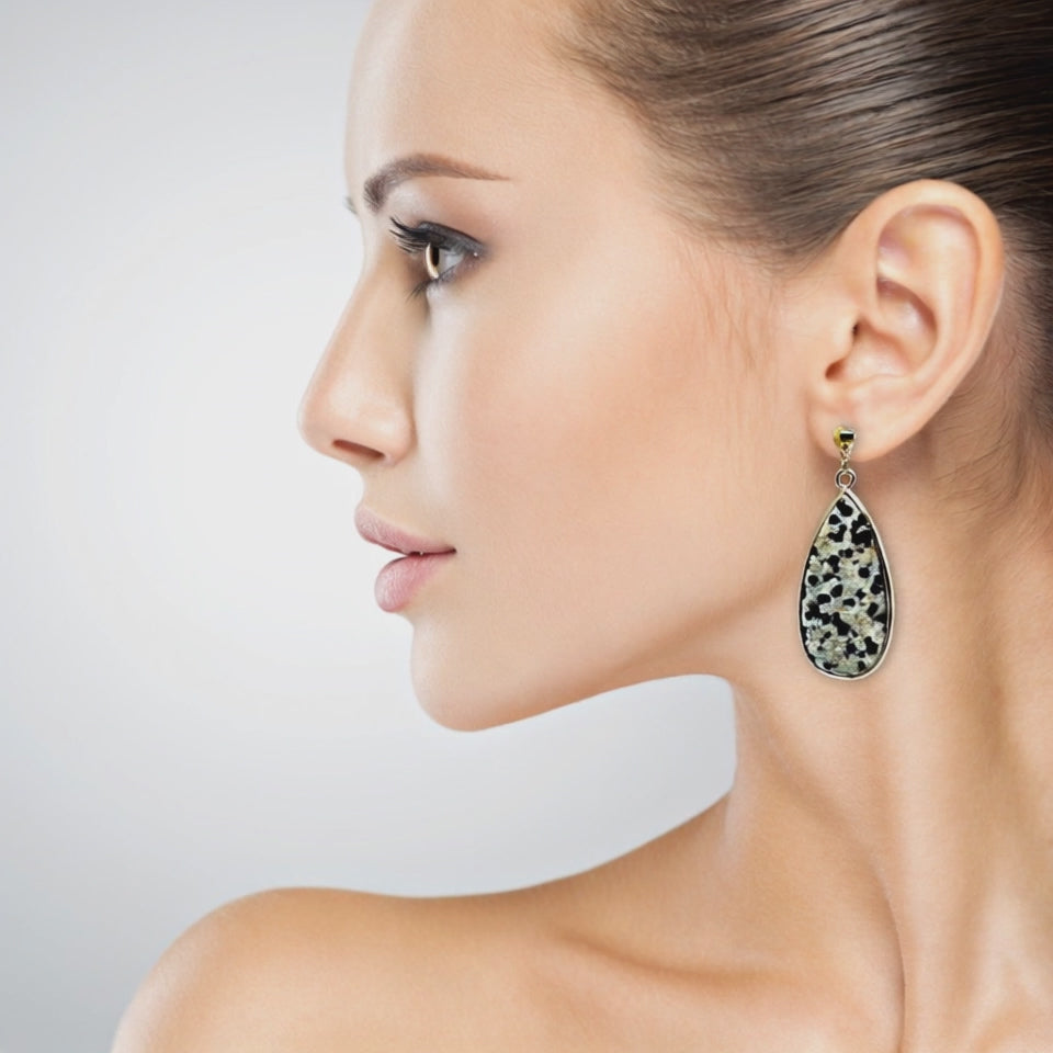 Load video: Dalmatian Jasper Drop Earrings